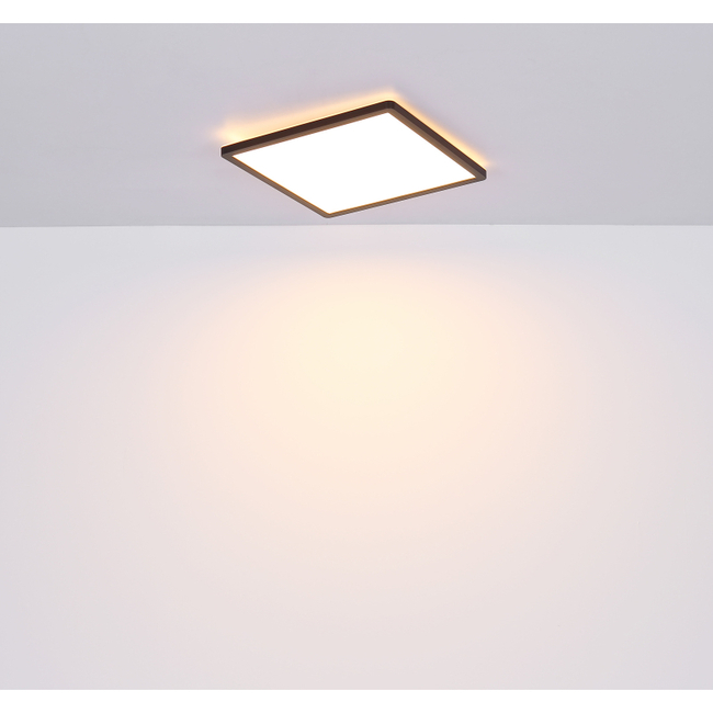 Stropné svietidlo SAPANA - 24W, 2700/2300lm, IP44 - 41563-24B