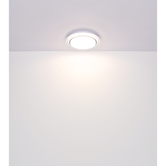 Stropné svietidlo Foppa - 24W,2580/1100lm,IP20 - 41580-24