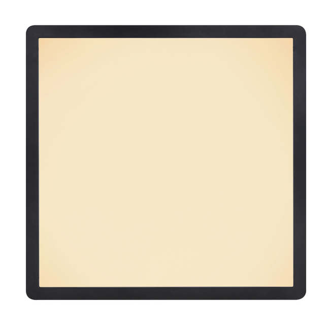 Stropné svietidlo SAPANA - 24W, 2700/2300lm, IP44 - 41563-24B