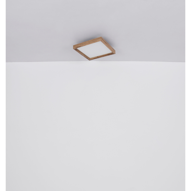 Stropné svietidlo CINDERELLA - 12W,1400/850lm,IP20 - 41595D1