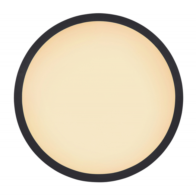 Stropné svietidlo SAPANA - 41562-24B