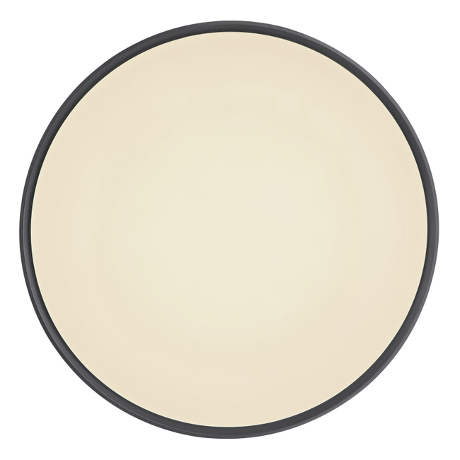 Stropné svietidlo SONNY - 24W, 2580/1300lm, IP20 - 41587-24