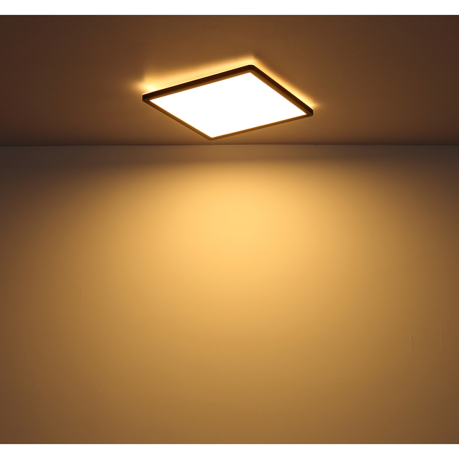 Stropné svietidlo SAPANA - 41563-18B