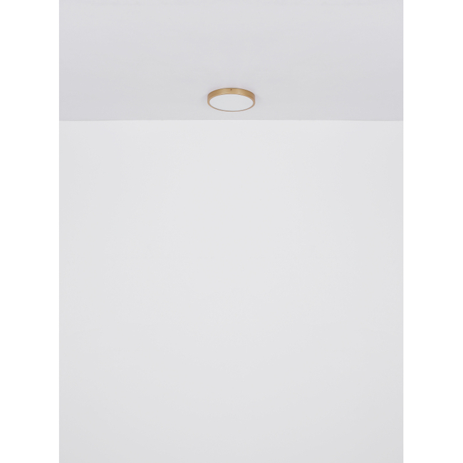 Stropné svietidlo TIBEY - 15W, 1330/990lm, IP20 - 12381-15