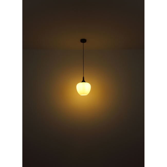 Závesné svietidlo MAXY - 60W, E27, IP20 -15548H1C