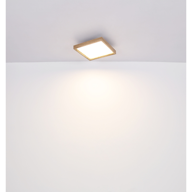 Stropné svietidlo CINDERELLA - 12W,1400/850lm,IP20 - 41595D1