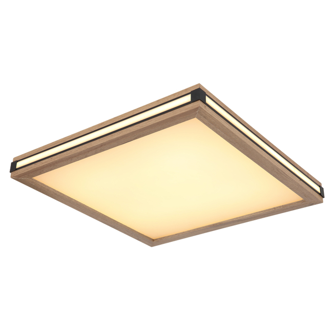 Stropné svietidlo CARLA - 24W,2650/1340lm,IP20 - 41589D2