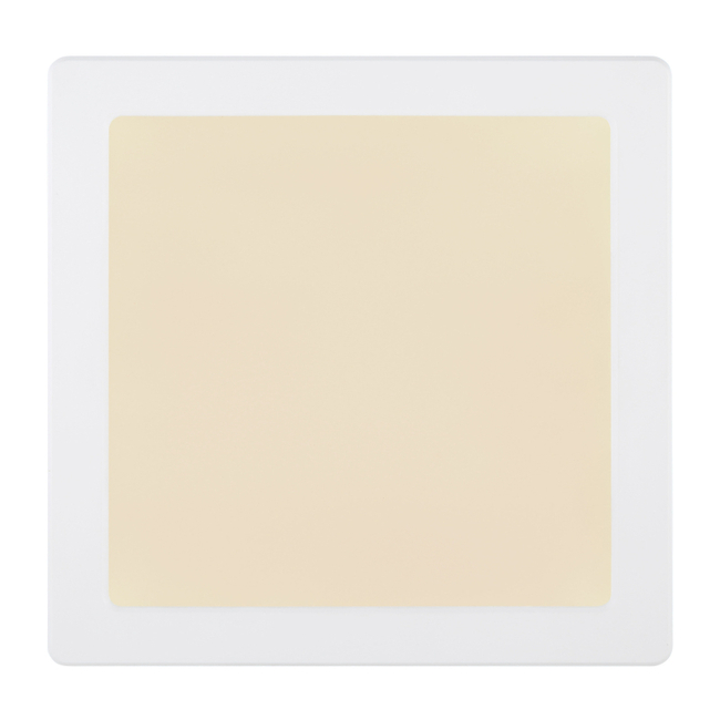 Stropné svietidlo LASSE - 18W,1900/1500lm,IP20 - 12380-18W