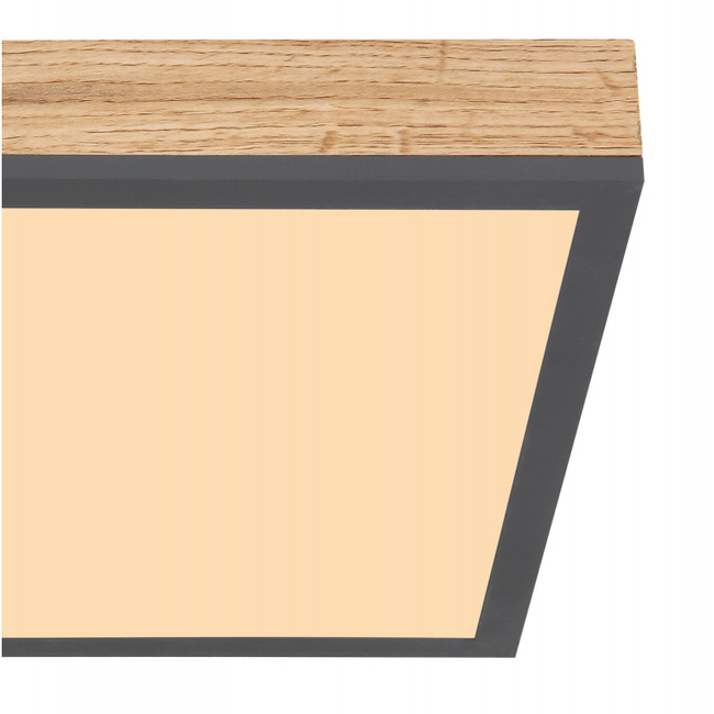 Stropné svietidlo DORO - 416080WD1