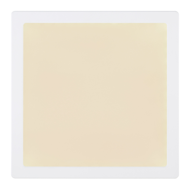 Stropné svietidlo LASSE - 24W,2500/2100lm,IP20 - 12380-24W