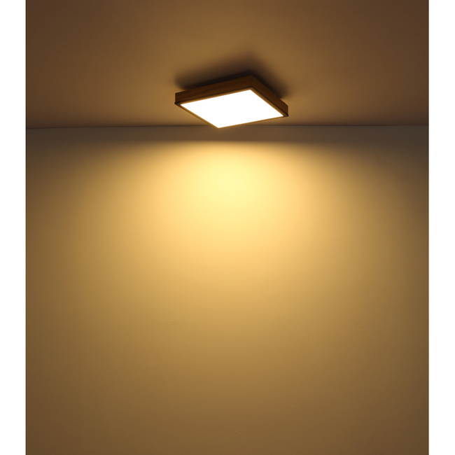 Stropné svietidlo DORO - 416080WD1