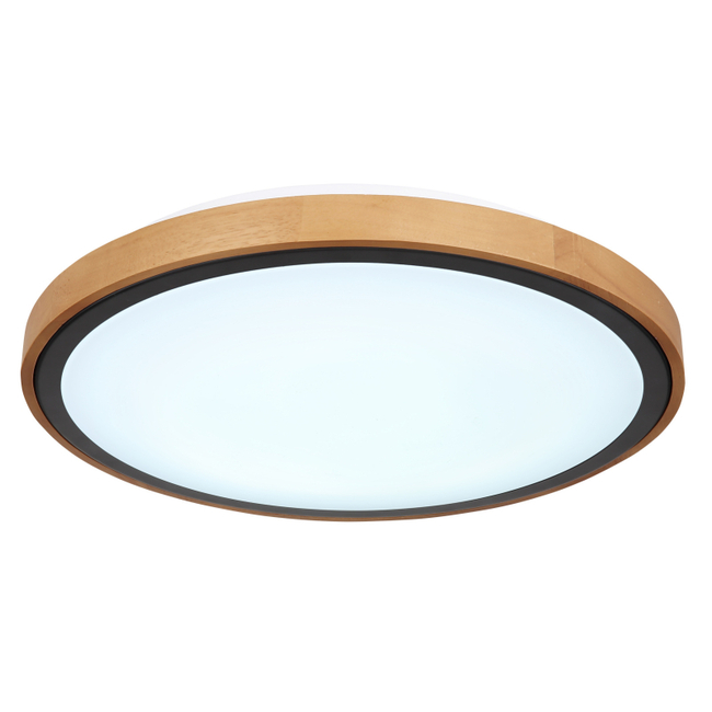 Stropné svietidlo BRUNO - 24W,2400/1000lm,IP20 - 41764-24