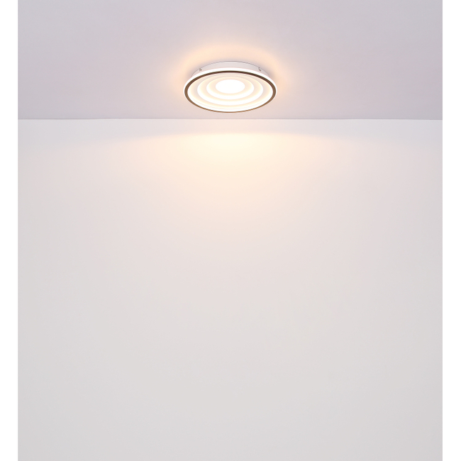 Stropné svietidlo FOPPA - 24W,2500/1200lm,IP20 - 41580-24