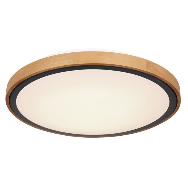 Stropné svietidlo BRUNO - 24W,2400/1000lm,IP20 - 41764-24
