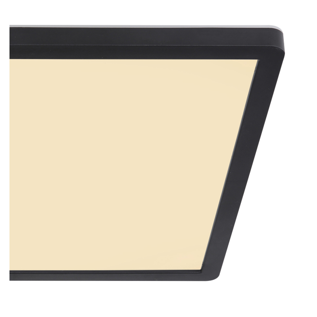 Stropné svietidlo SAPANA - 24W, 2700/2300lm, IP44 - 41563-24B