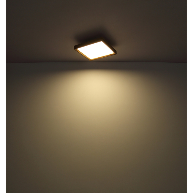 Stropné svietidlo CINDERELLA - 12W,1400/850lm,IP20 - 41595D1