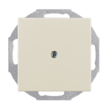 BASIC55 - záslepka, slonová kosť