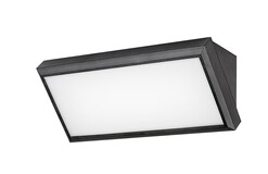 Svietidlo RAPLA - LED 12W, 7282